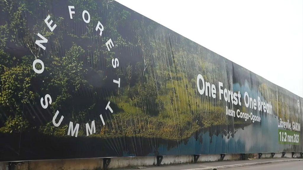 A banner displaying trees and an ocean with the text "One Forest Summit. One Forest One Breath"